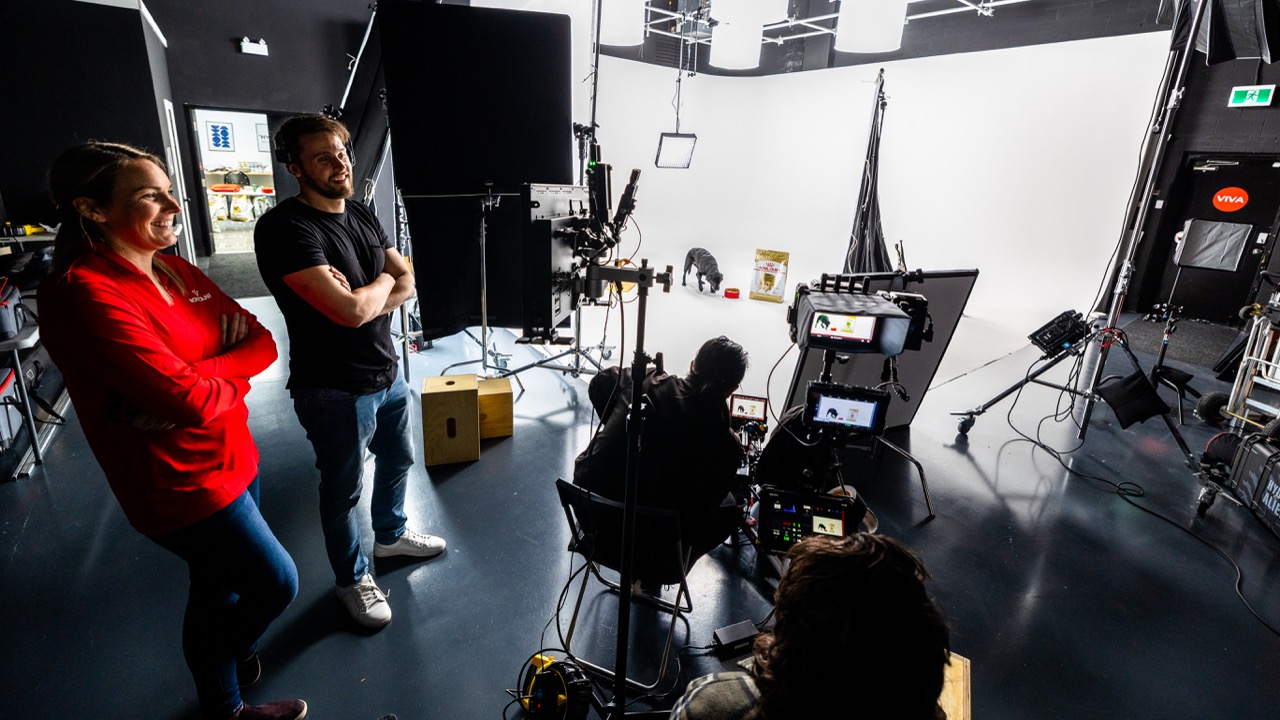 Social media video content creation for brands